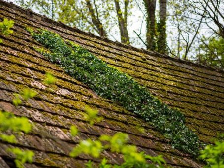 démoussage de toiture dans les Hauts-de-Seine