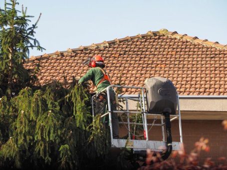 démoussage de toiture dans les Hauts-de-Seine
